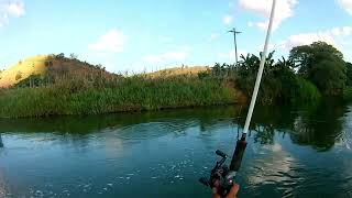 Pescaria no rio Paraíba do Sul com meu amigo Jhonatan Os peixes estavam ligeiro [upl. by Zirtaeb]