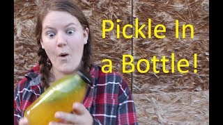 Gardening With Cody 12017 Week 24amp 25 Bottling a Pickle [upl. by Blumenthal128]