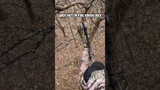 Quick Shot on a Big Kansas Buck deer whitetaildeer bowhunting shorts deerhunting hunting [upl. by Kordula]