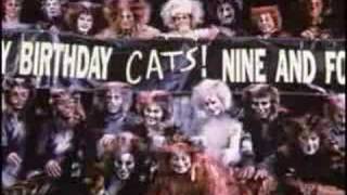 CATS Broadway Musical Tribute [upl. by Yllaw]