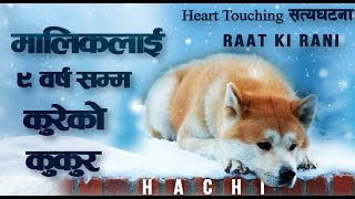 Hachi A Dogs Tale Explained 2009 Imdb  89 [upl. by Odrautse]