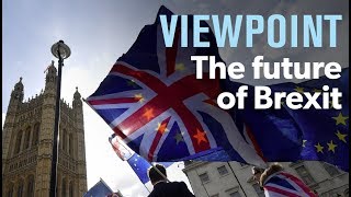 The future of Brexit — interview with Daniel Hannan  VIEWPOINT [upl. by Rotceh]