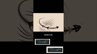 html csshtml5coding software pythonfold unfold animation loding EFFECT animationweb design [upl. by Sill]