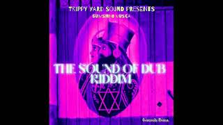 The Sound Of Dub Riddim Full OFFICIAL MIX Feat Ras Moses Norris Man Abba April 2024 [upl. by Baldridge]