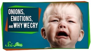 Onions Emotions and Why We Cry [upl. by Maryanne679]