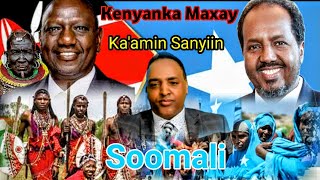 YAAB BADANAASHACABKII KENYA OO SOOMAALIDII KU TILMAAMEY [upl. by Lingwood971]