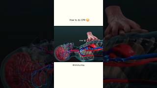 How to do CPR viralshort shortsfeed cpr body trendingshorts shorts doctor hospital [upl. by Notfol]