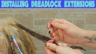 Installing Dreadlock Extensions  What What [upl. by Syned]