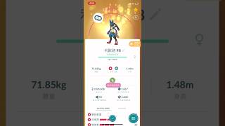 一口氣將98路卡利歐升到50等megapokemongo pokemon ルカリオ lucario mega [upl. by Moseley]