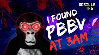 I found PBBV at 3AM [upl. by Renferd]