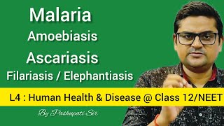 L4 Protozoan and Helminth Diseases  Malaria  Amoebiasis  Ascariasis  Filariasis  Class 12NEET [upl. by Madanhoj]