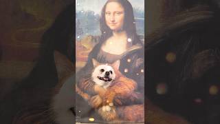 Monalisa hugs Niconico smartnico cute funny pets [upl. by Ahsiekit]