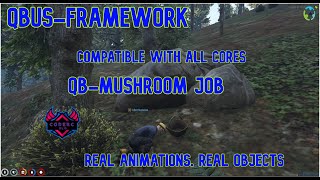 Qbus Qbus Mushroom JOB  FiveM  Job Qbus original script [upl. by Brynne277]