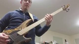 Avoiding injury playing an extralong scale bass [upl. by Strawn]