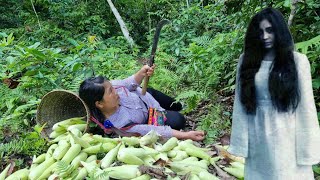 Single mother in danger in the forest Harvesting glutinous corn garden to sell Taking care of pets [upl. by Suciram]