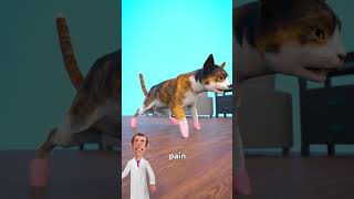 Why Declawing Your Cat is Harmful The ScienceBehindCats 🐾 AnimalWelfare CatHealth animation [upl. by Elleirad]