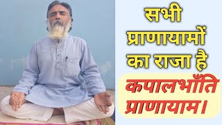 सभी प्राणायामों का राजा है कपालभाँति प्राणायाम। kapalbhati pranayama । yoga [upl. by Hew832]