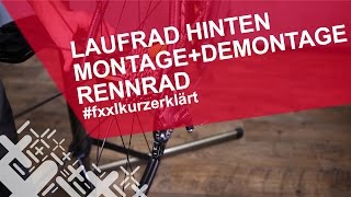 Rennrad Hinterrad ausbauen amp einbauen  fxxlkurzerklärt [upl. by Risay863]