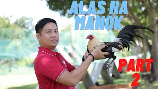 SABONG TIPS Paano Gumawa Ng Isang Alas Na Manok PART 2 [upl. by Anitsirk]