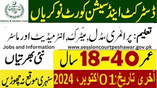 District and Session Court Peshawar Jobs 2024  Session Court Jobs  court sessioncourt [upl. by Gibert417]