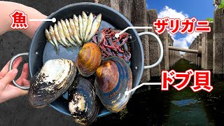 ドブの食材だけでパエリア作ってみた【ENG SUB】 [upl. by Ahsemaj360]