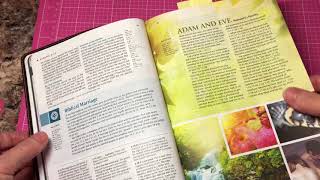 NLT Illustrated Study Bible [upl. by Adnawak]