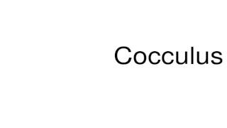 How to pronounce Cocculus [upl. by Eerahc]