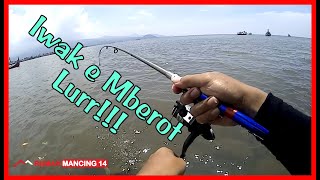 Gokil Mancing Rong Kerong di Pelabuhan BesukI Situbondo RM14™ [upl. by Wilkins]