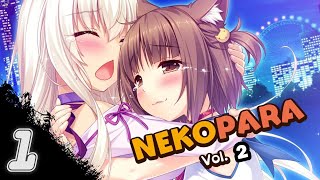 Zagrajmy w NEKOPARA Vol 2 PL  Niska Samoocena 1 [upl. by Nikola181]