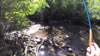 089 Tenkara Rod Co Cascade rod on a small stream [upl. by Eiddal]