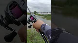 Daiwa Steez A 2017 shot shots fishingvideo daiwafishing daiwareels fishingrod ตกปลา angler [upl. by Elberta]