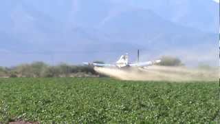 Piper Pawnee Brave PA36400  Spraying potato crop [upl. by Won]