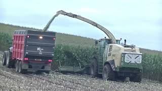 Krone 770 harvesting Maize 2024 [upl. by Dickenson227]