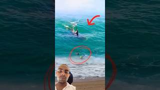 Shocking  an Orca whale hits 3 surfers 😲 [upl. by Anehsuc]