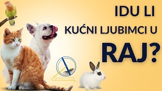 Idu li kućni ljubimci u raj Dario Kovačević [upl. by Rola954]