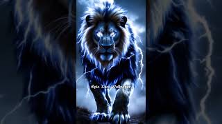 Black Lion Live Wallpaper 4klivewallpaper shorts [upl. by Yadsendew]