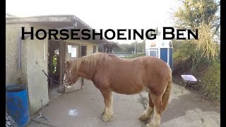 Horseshoeing Ben [upl. by Suriaj]