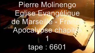 Pierre Molinengo  Apocalypse  chapitre 1 [upl. by Ivan]