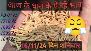 today dhan Mandi rate। vidisha mandi rate। raisen Mandi rate। धान मंडी भाव। mandiratewala [upl. by Aiekat706]