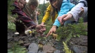 Hope for Wild Salmon  Strongholds [upl. by Eyaf219]