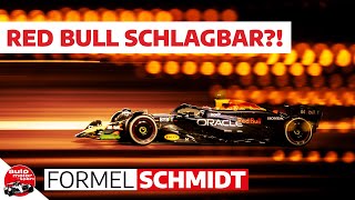 F1Test Gewinner amp Verlierer Alpine wirklich Letzter  Formel Schmidt 2024 [upl. by Garry]