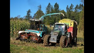 🌽Maisernte24 • Mengele Mammut • Eicher 3085 • Fendt Vario 818 • Deutz Agrotron • Classic Machines🌽 [upl. by Eelir]