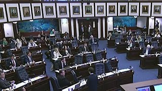 Florida House passes school voucher expansion bill [upl. by Gaudette225]