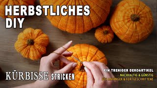 Herbstliches DIY StrickKürbisse für eine gemütliche Stimmung in deinem Zuhause [upl. by Aciamaj]