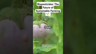 Biopesticides The Future of Sustainable Farming 🌱 trendingvideos pestcontrol science [upl. by Bing993]