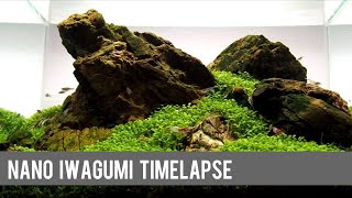 Nano Iwagumi HardscapeTimelapse and Development in a Dennerle Scaper’s Tank [upl. by Aridni901]