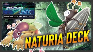 SYNCHRO x LINK FESTIVAL  Best Naturia Deck 2024  Master Duel [upl. by Annaig]