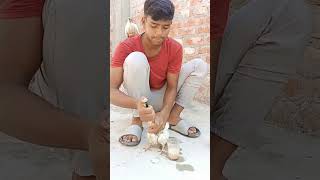 Kabutar ka treatment karna kaise khela jata haiyoutubeshorts viralvideo [upl. by Anisor31]