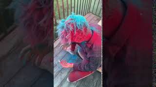 Person uses color powder cannons to color hair blue and pink [upl. by Dorwin]