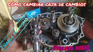 COMO INSTALAR CAJA DE CAMBIOS A TU MOTO ITALIKA DT150 SPORT [upl. by Kam]